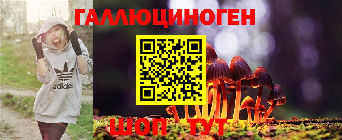 где можно купить наркотик  Вход с VPN  Волгоград  Псилоцибиновые грибы Magic Shrooms 